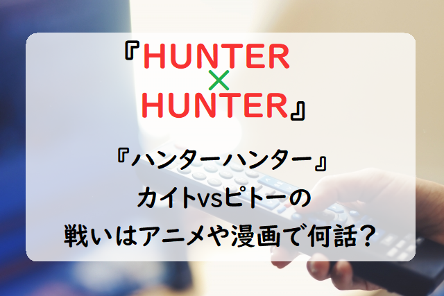 ハンターハンター カイトvsピトーは何話 アニメを無料視聴する方法もご紹介 Suzumenosusume